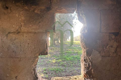 Ruinere i Brindisi, Brindisi, Brindisi - € 68.000 | Ref: Casolare Bern - foto 31